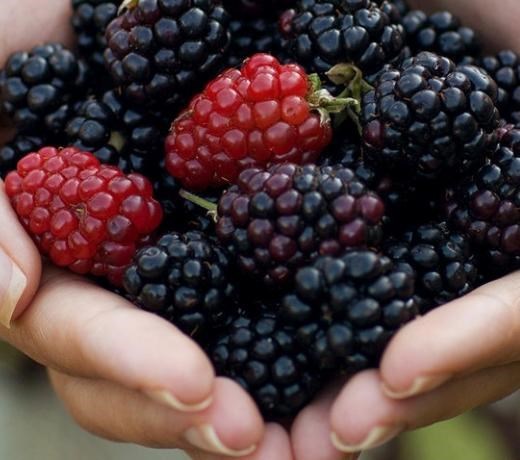 Specialities - Paediatrics by Vergelegen Dietitians Somerset West